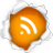 RSS Feed