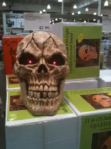 Halloween skull