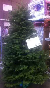 Costco Fresh Christmas Tree