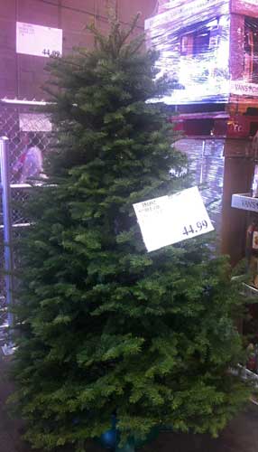 Costco Christmas Trees Costco Insider