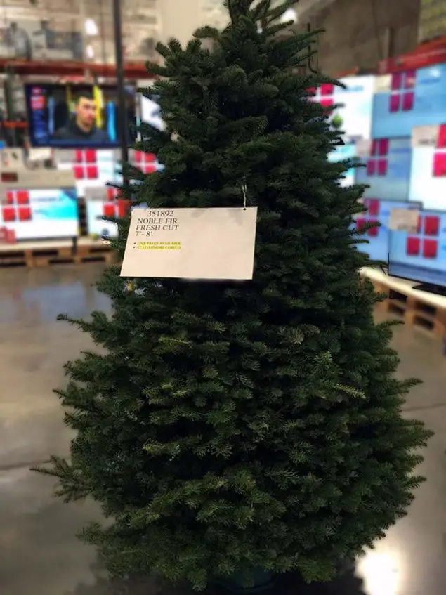 Costco Fresh Cut Christmas Tree 2020 Best New 2020