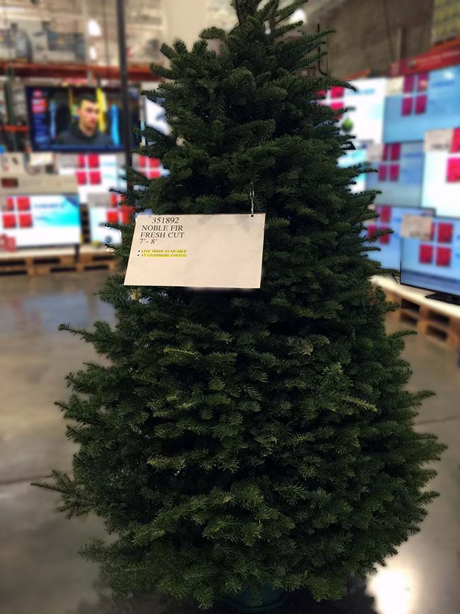 Costco Real Christmas Tree