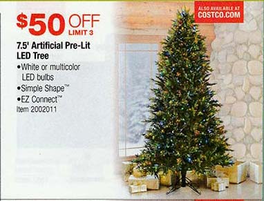 Christmas Tree on Sale