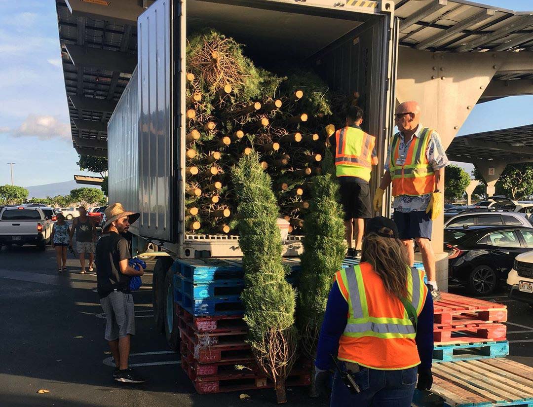 Costco Christmas Tree Trailer