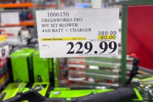 Greenworks Blower Price Tag