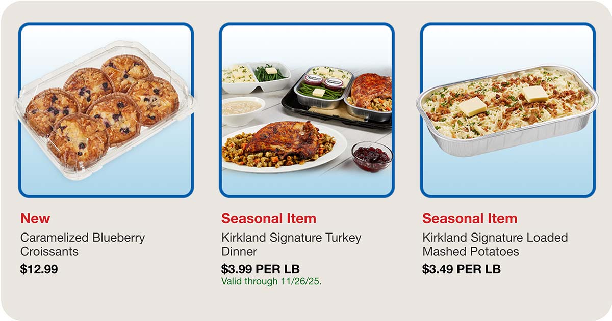Costco November 24th 2025 Weekly Insider Deals Page 1